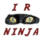 Cat kitteh eyes in a ninja mask sez I R Ninja