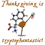 Tryptophantastic Thanksgiving Turkey - tryptophan molecule